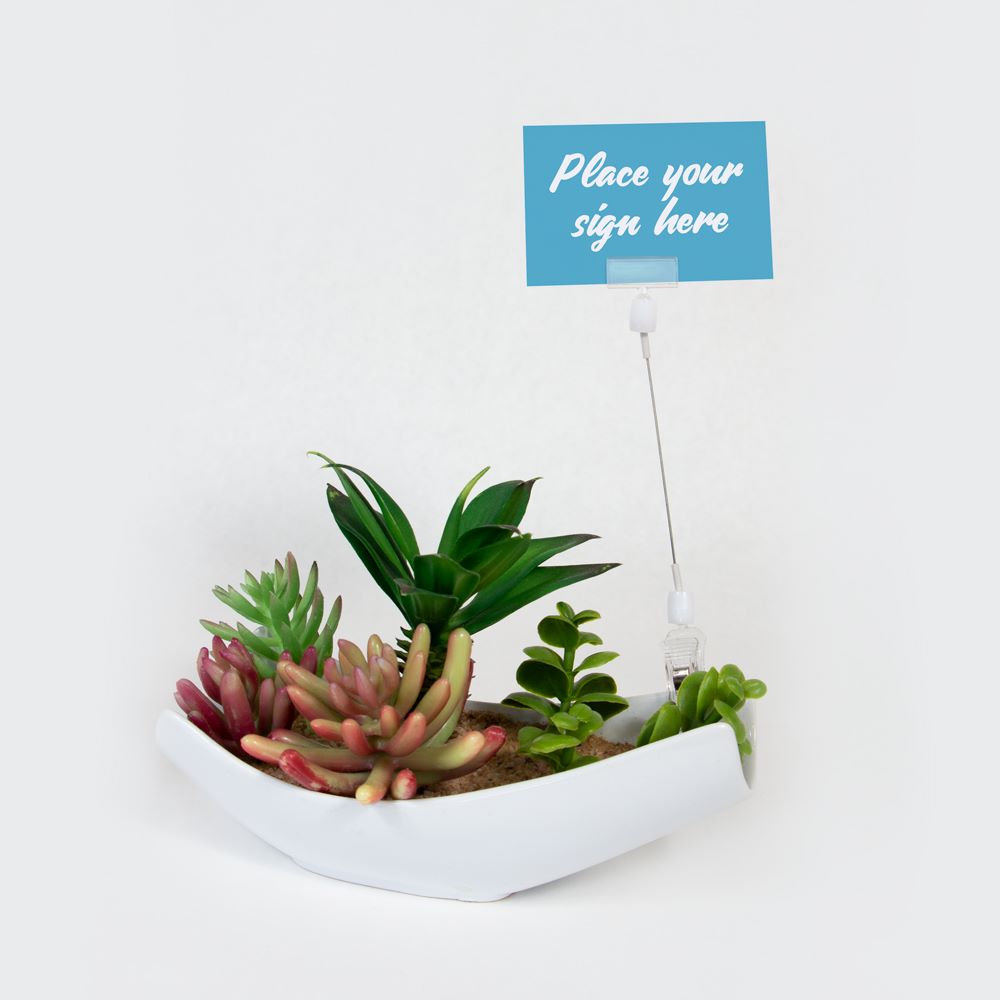 The  TwistKlip Card Holder with Small Clip, Long Extension clipped onto the edge of a small plant pot and holding a sign